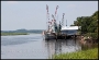 20090809_Savannah_057