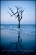 20090809_Savannah_193