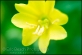 20090815_Nature_233