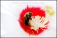 20090815_Nature_262x