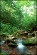 stream
