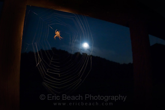 Light Painting